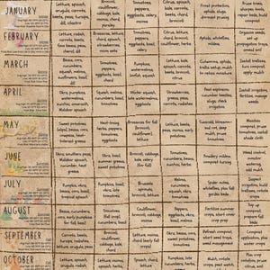 May include: A beige, textured gardening calendar titled The Gardener's Year for Zone 10. It features a grid layout detailing monthly tasks like direct sowing, transplanting, starting indoors, harvesting, pest monitoring, and maintenance for various vegetables.