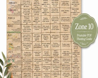 Zone 10 Planting Guide PDF | Monthly Vegetable Garden Calendar, Seed Starting & Harvest Chart