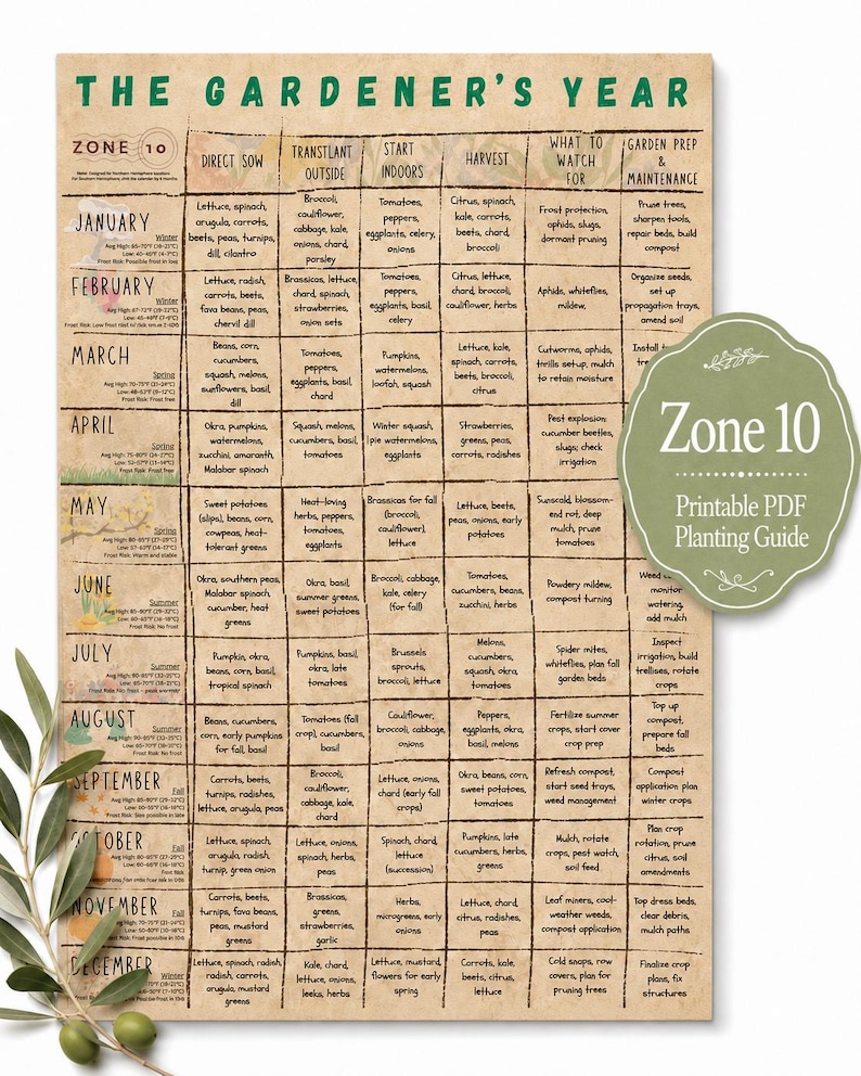 Zone 10 Planting Guide printable PDF shown on a clean white background with olive branch styling and a green badge, featuring a monthly vegetable garden calendar for sowing, transplanting, harvesting, pests, and garden maintenance.