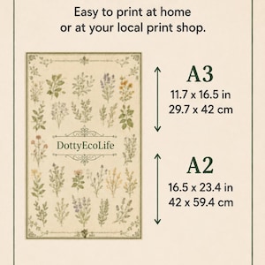 Print size guide for the Companion Planting Chart poster showing recommended A3 and A2 sizes, with clear printing information for home printing or a local print shop.