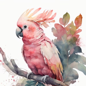 Rosa Kakadu Aquarell Gemälde Wandkunst | Tropische Illustration Poster | Druckbar | Kakadu Herunterladbare Kunst | Muttertagsgeschenk