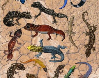 Micro Gecko Stickers - Waterproof Reptile Lizard Decals