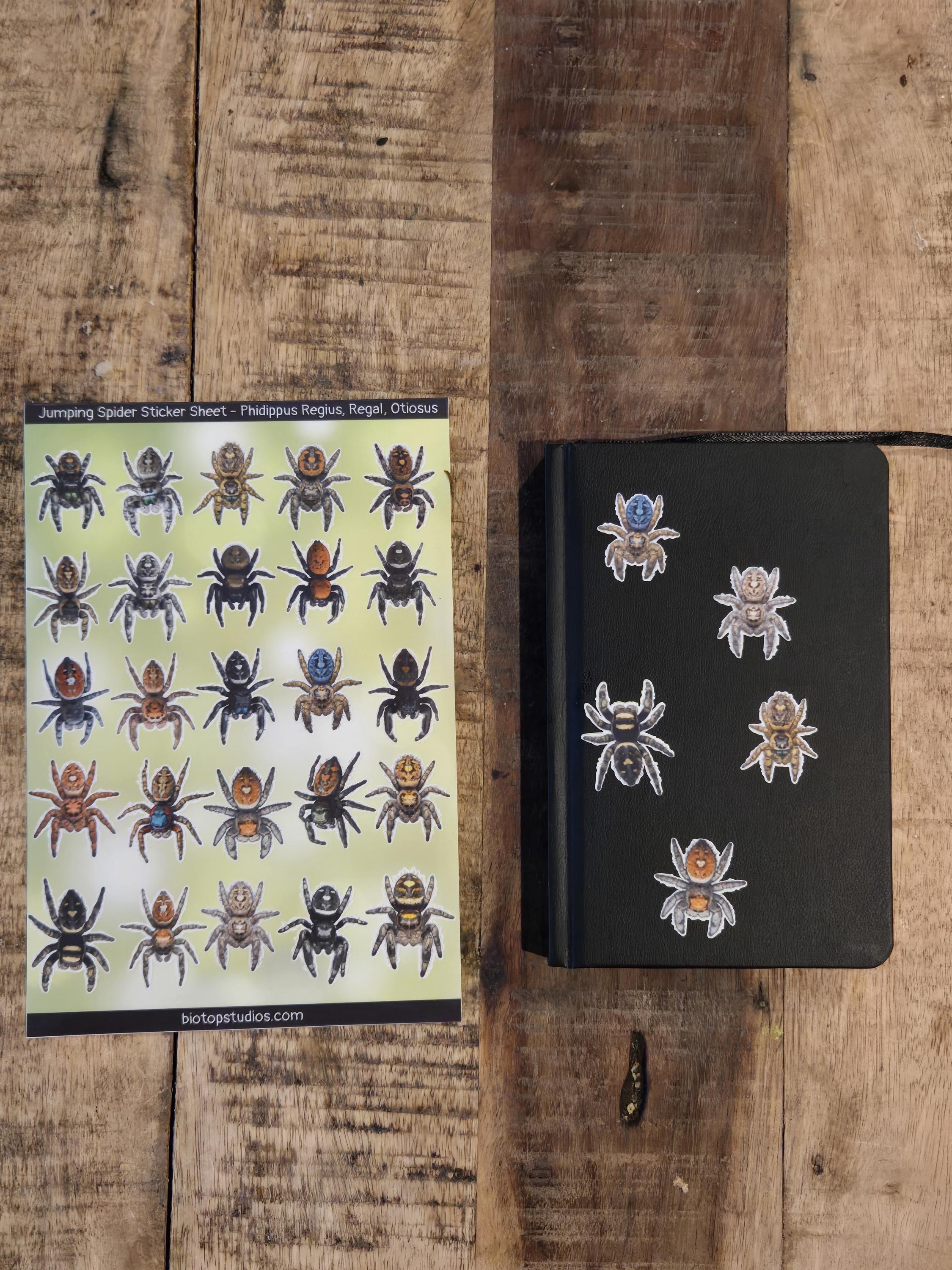 Sticker Spider Rectangular Jumping Spider Sticker Sheet - 25 Small Spider Decals - Etsy