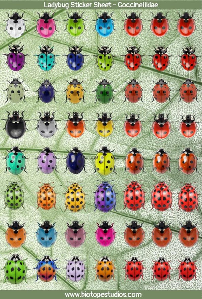 Ladybug Sticker Sheet - 56 Colorful Realistic Beetles - Etsy