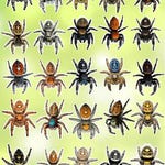 Spider Stickers