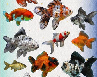 Goldfischarten-Stickerbogen – Aquarienfische