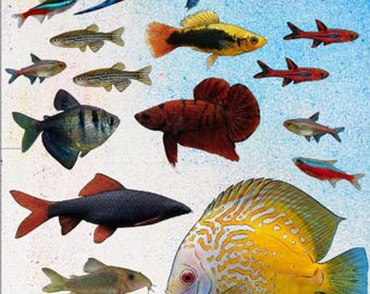 Pegatinas de peces tropicales para acuario, peces exóticos de agua dulce, juego de 24