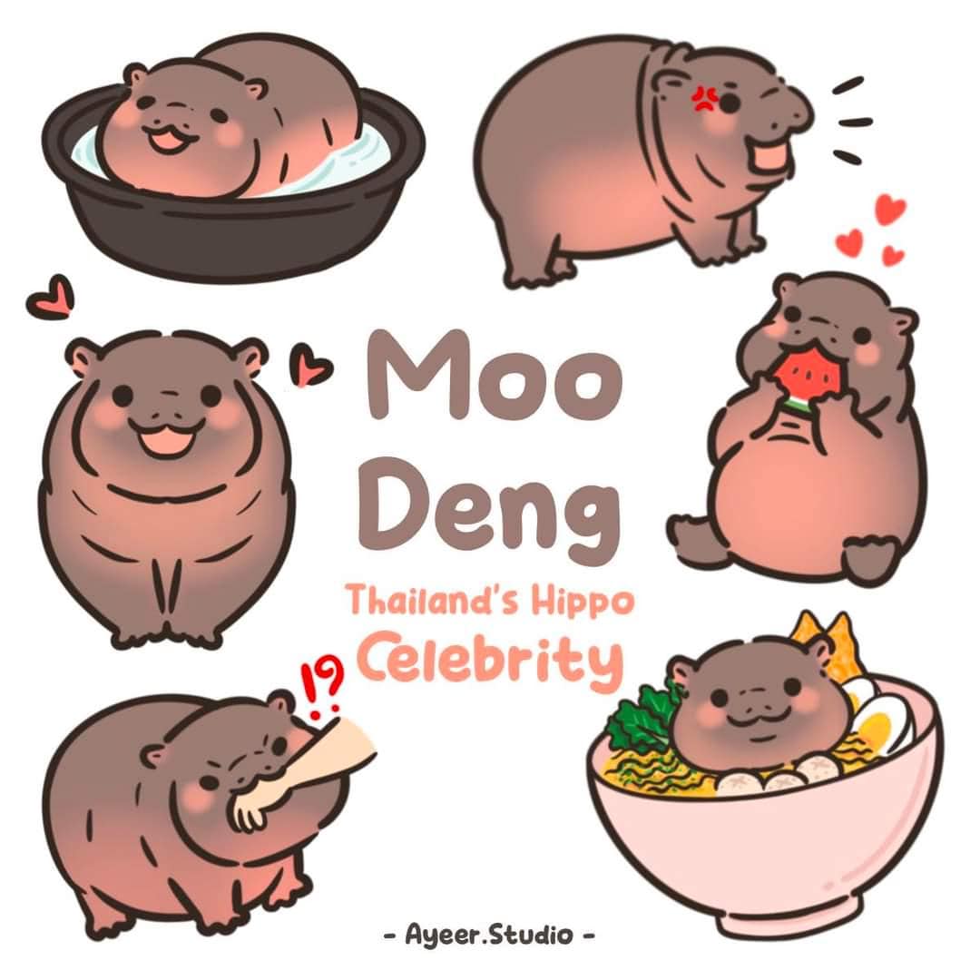 Digitale stickers babynijlpaard 'Moo Deng' (PNG) - Etsy België, image size:1080x1080