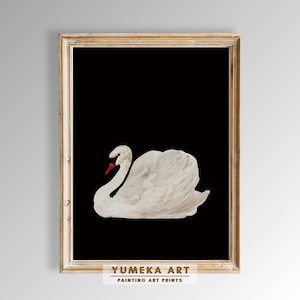 Antique Swan Painting | Aert Schouman Knobbelzwaan | Minimalist Print | Fine Art | Y11