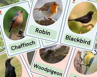 英国の鳥のフラッシュ カード。自然を愛する家族への贈り物。一般的な庭の鳥の学習リソース。自然の中での野生生物の学習。
