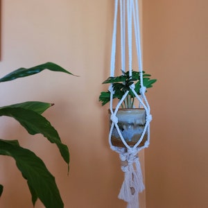 Puede incluir: Un macetero de macramé blanco con una pequeña planta en maceta colgando de él. La planta está en una maceta de cerámica marrón con un esmalte blanco. El macetero está colgado de una pared.