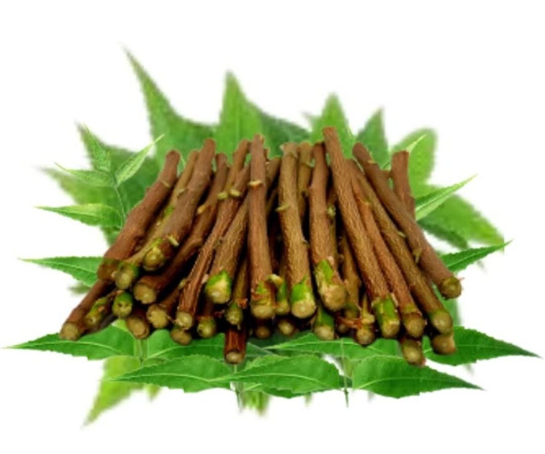 Neem Stick Neem Datun Chew Sticks for Oral Care 100 Natural Etsy