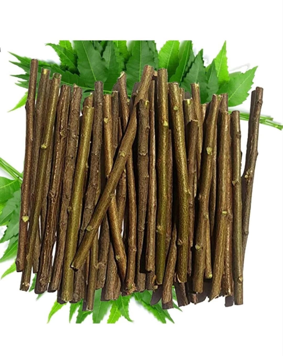 Organic Neem Stick Neem Datun Chew Sticks for Oral Care 100 Etsy