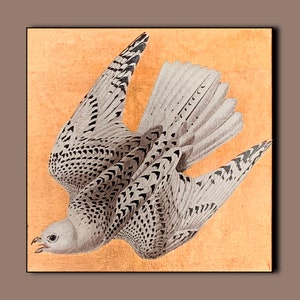 Rose Gold Leaf Bird Artwork, Vintage Falcon Wall Hanging, Canvas Wall Art, Original Art, 3D Wall Art, John James Audubon