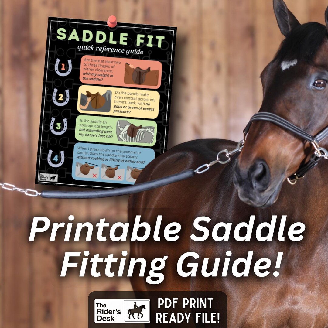Saddle Fit Quick Guide: Equestrian Fitting Checklist (digital Download ...