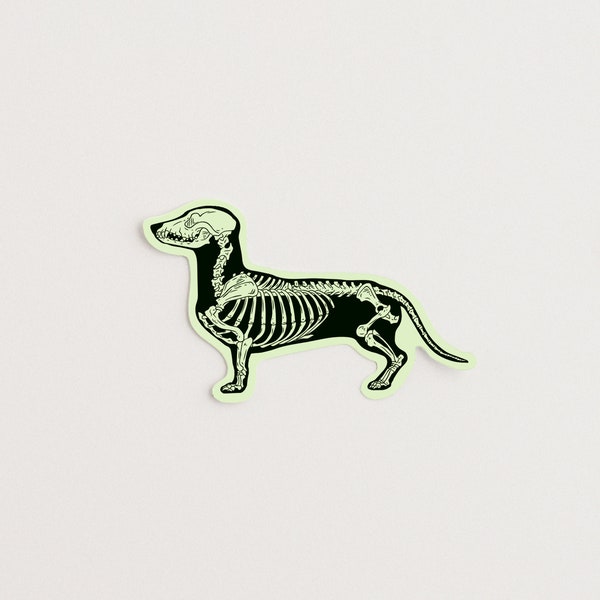 Glow in the Dark Dachshund Dog Skeleton Vinyl Sticker