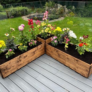 May include: Two wooden planter boxes positioned in a corner on a decked area. The boxes are filled with soil and a variety of colourful flowers, including yellow, pink, red, and white.