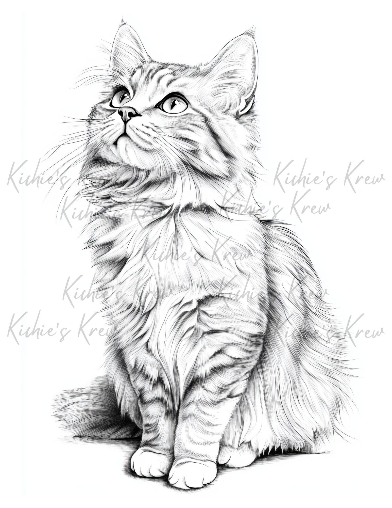 Purffectly Adorable Digital Coloring Book Realistic Cat Drawings for ...