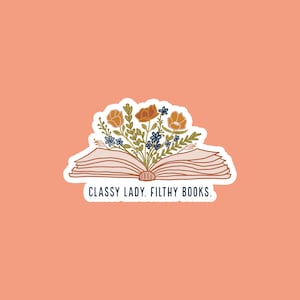 Dame chic, livres sales