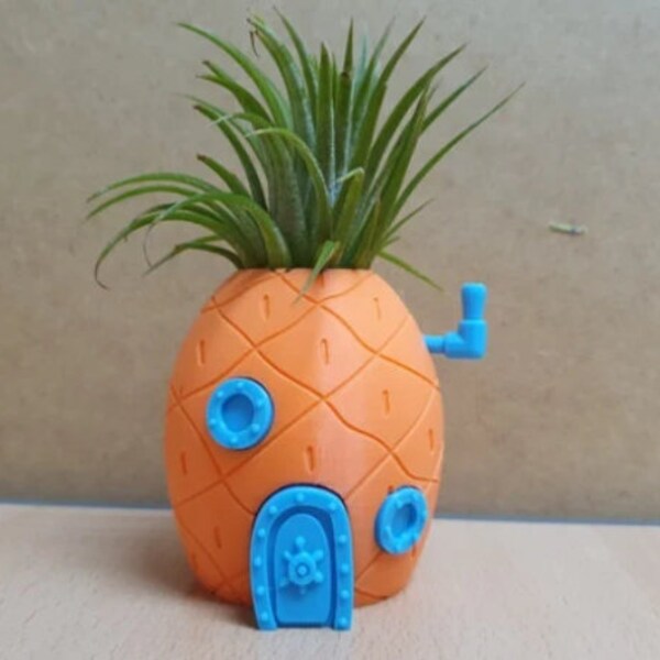 Pineapple House Fish Tank Decor (and planter)