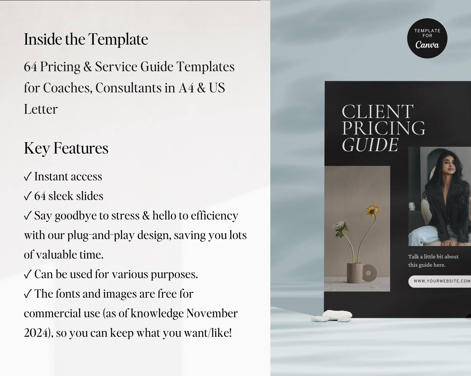 Client Pricing Guide Template: Canva Brochure, Service Packages (A4 ...