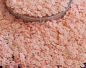 Fake Sprinkles - Pink Cherry Blossom Flowers- Use with Slime, Lip Gloss, Nail Designs, Resin Art, Crafts and Many More - Non-Edible