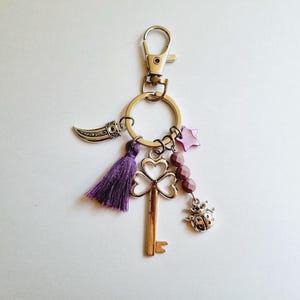 Porte clés et carte porte bonheur coccinelle clef corne d'abondance étoile nacre pompon violet idée cadeau