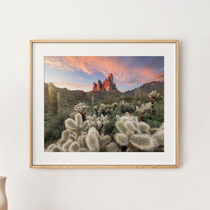 Cholla Cactus&#39;s Blanket the Foothills of the Superstition Mountains in Arizona as the Sun Sets - Fine Art Photography Print