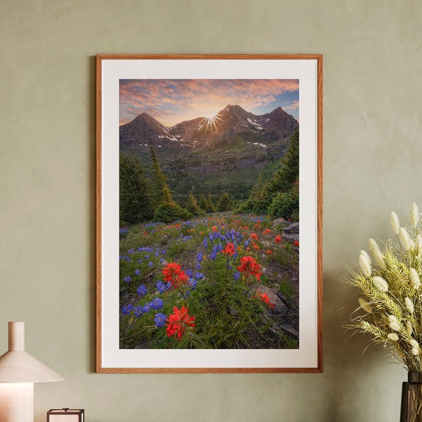 Wildflowers Blanket the Alpine Mountainside in the Rocky Mountains of Colorado - Fine Art Photography Print