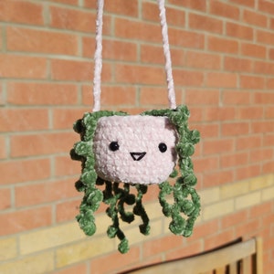 Puede incluir: Un macetero colgante de crochet rosa con una cara sonriente y enredaderas de crochet verde.