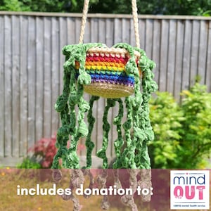 Può includere: Un vaso sospeso all'uncinetto con una fascia color arcobaleno in filato rosso, arancione, giallo, verde, blu e viola. Il vaso contiene lunghe viti verdi all'uncinetto ed è sospeso tramite una spessa corda ritorta di colore chiaro.