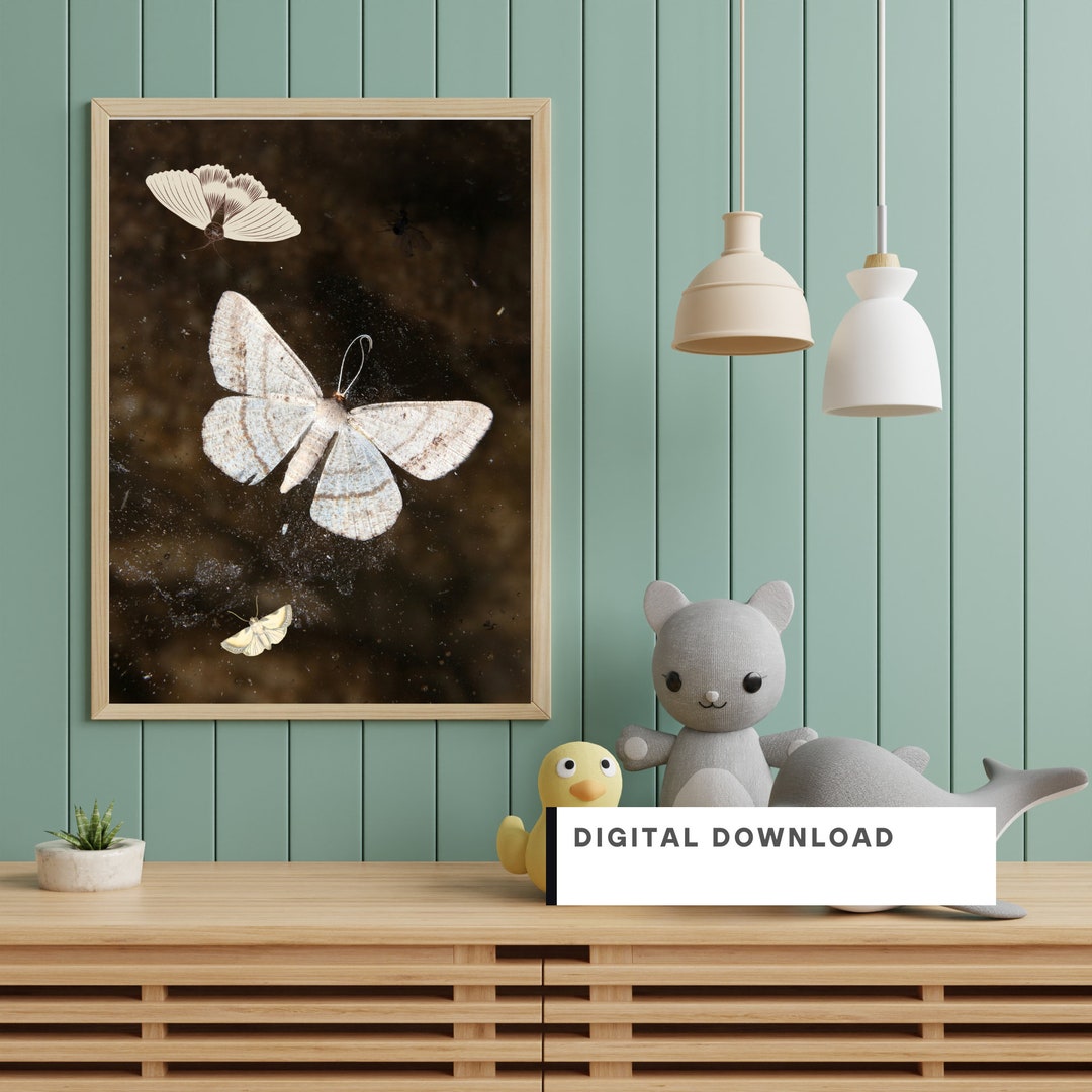 Moths INSTANT Digital Download, Print and Frame, HOME and Living Decor ...
