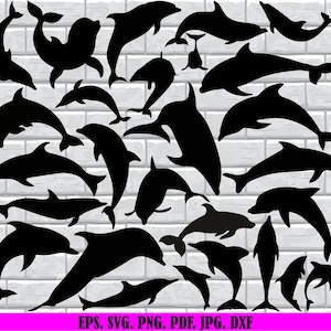Dolphin SVG Mega Bundle: Sea Animal Clipart (Digital Download