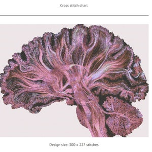 Brain Cross Stitch