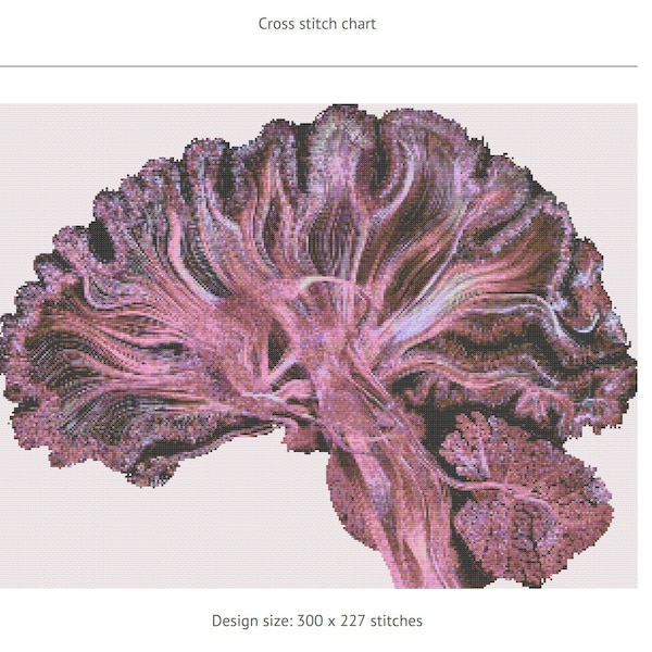 Brain Cross Stitch Pattern Etsy