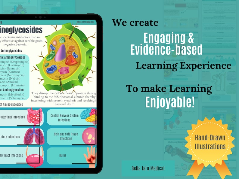 Antibiotics Pharmacology Bundle Antibiotics Cheat Sheets Nursing