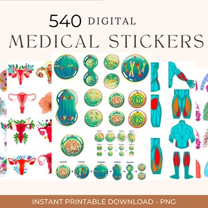 Biology & Anatomy Digital Stickers | 540 Pre-cropped Human Body ...
