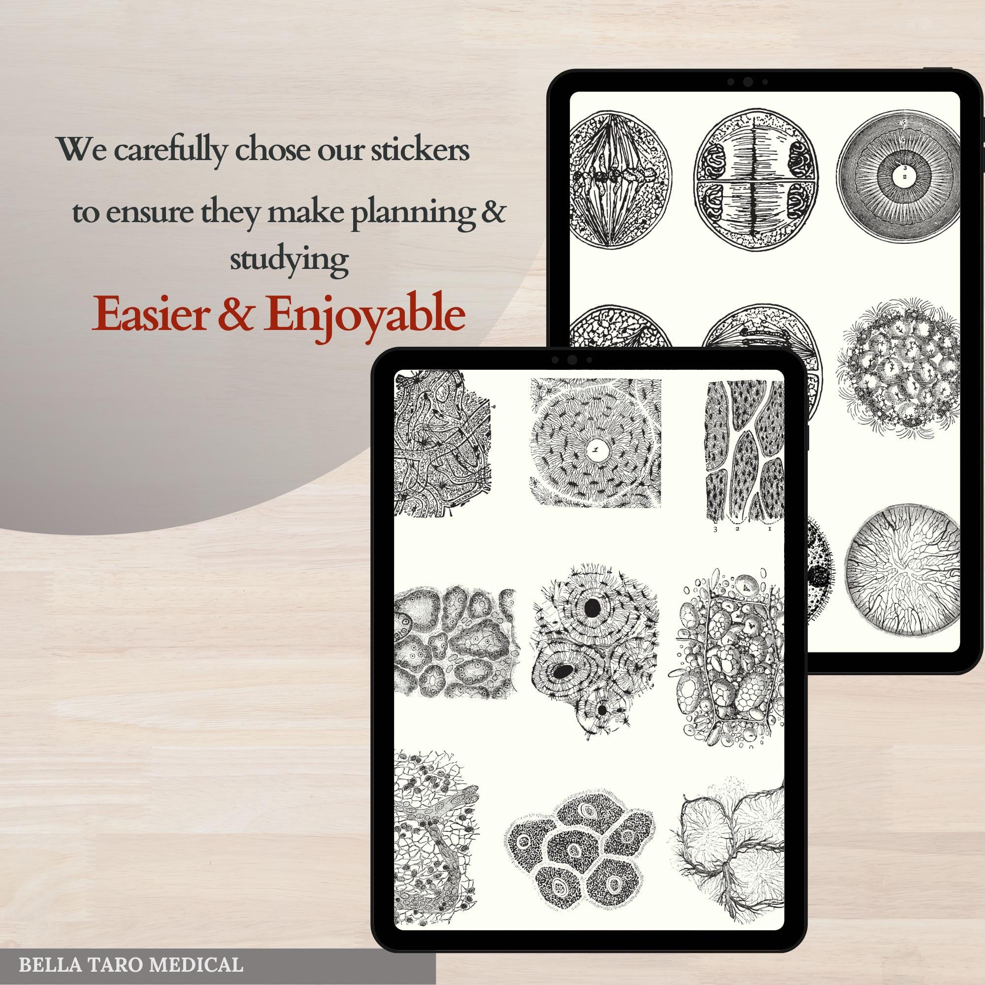 Tissue Sticker Design Cell & Tissue Anatomy Digital Stickers, Cell Biology Tissue Anatomy ...