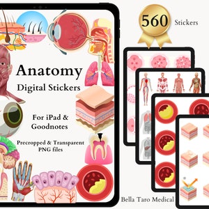 May include: A digital sticker pack for iPad and Goodnotes featuring 560 precropped and transparent PNG files of anatomical illustrations. The illustrations include the human body, organs, cells, and tissues. The text "Anatomy Digital Stickers" is displayed on the image.