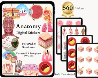 Anatomy & Biology 1200 PNG HQ Physiology Bundle Sticker Pack, Human ...