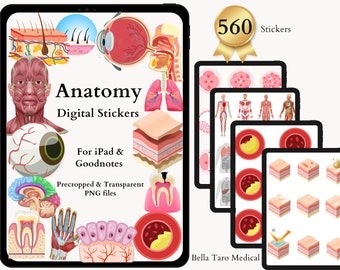 Anatomy & Physiology Bundle Stickers | 560 Pre-cropped Human Body Digital Stickers | Medical | Nursing Study | Science | iPad GoodNotes