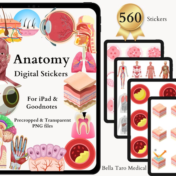 Anatomie en fysiologie bundelstickers | 560 voorgesneden digitale stickers voor het menselijk lichaam | Medisch | Verpleegkundestudie | Wetenschap | iPad GoodNotes