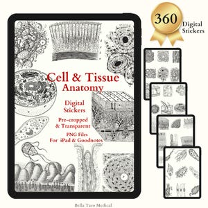 Adesivi digitali di anatomia cellulare e tissutale, adesivi di anatomia tissutale di biologia cellulare, adesivi GoodNotes, adesivi di notorietà, scienza, istologia