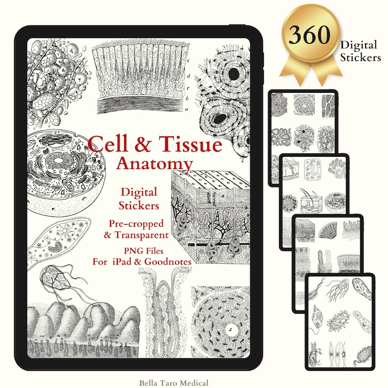 Tissue Note Sticker Cell & Tissue Anatomy Digital Stickers, Cell Biology Tissue Anatomy ...