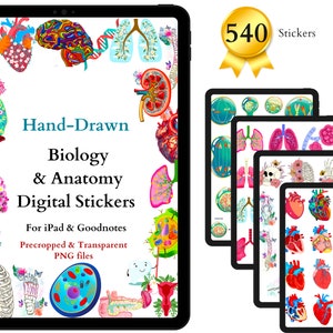 Biology & Anatomy Digital Stickers | 540 Pre-cropped Human Body Stickers | Hand-Drawn iPad GoodNotes | Nurse Note-taking, Presentation