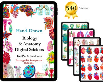 Biology & Anatomy Digital Stickers | 540 Pre-cropped Human Body Stickers | Hand-Drawn iPad GoodNotes | Nurse Note-taking, Presentation