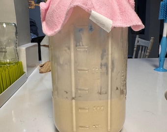 Homemade Sourdough Starter
