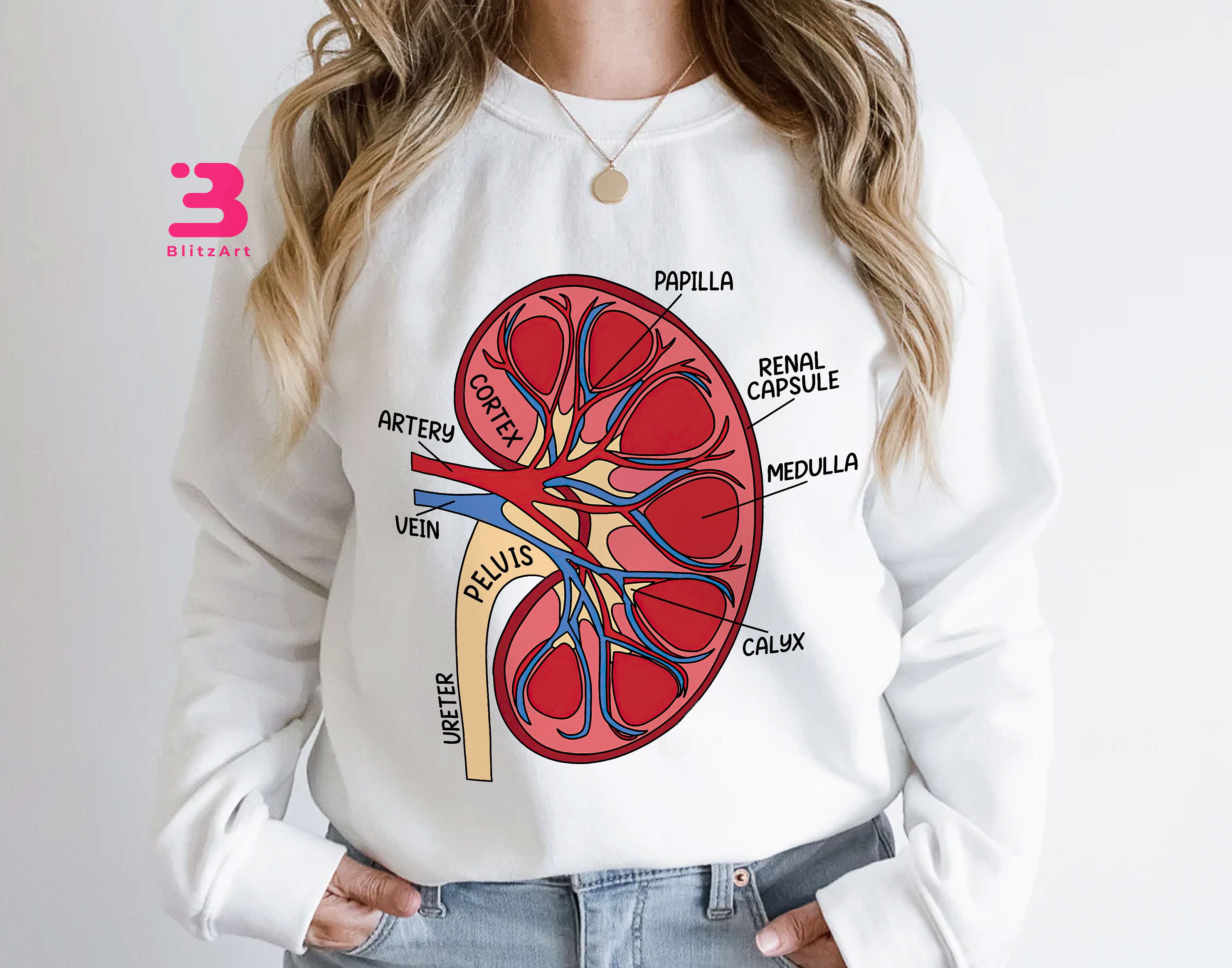 Kidney Anatomy Shirt, Kidney Disease Awareness Tshirt, Transplant Gift