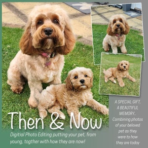 Then & Now - Your Pet/Dog/Cat photo edited and merged with a baby photo of your beloved pet