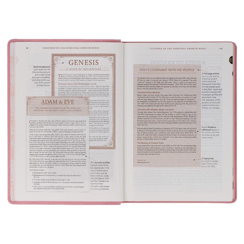 May include: Open Bible with pink cover, featuring text and illustrations. The pages display sections titled "Genesis," "Adam & Eve," and "God's Covenant with His People." The book is open to a double-page spread.
